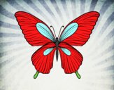 201752/mariposa-tropical-animales-insectos-pintado-por-edurne2012-11236642_163.jpg