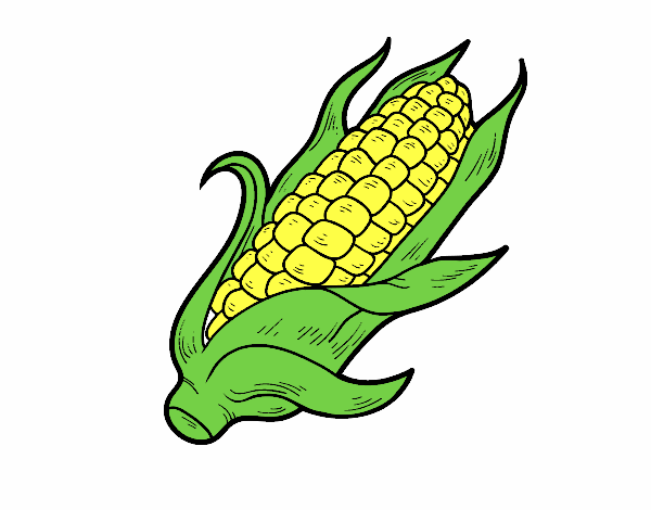 Dibujo Una mazorca de maíz pintado por natalia605