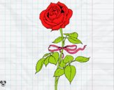 Dibujo Una rosa pintado por minie03