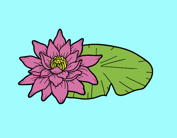 Dibujo Una flor de loto pintado por Luchia2008