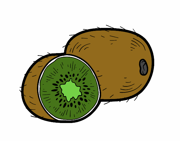 El kiwi