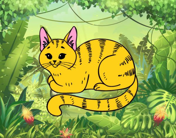 Dibujo Gato joven pintado por camilator