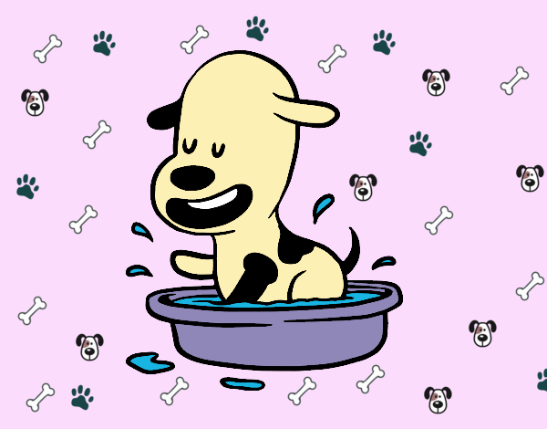 Un perrito en la bañera