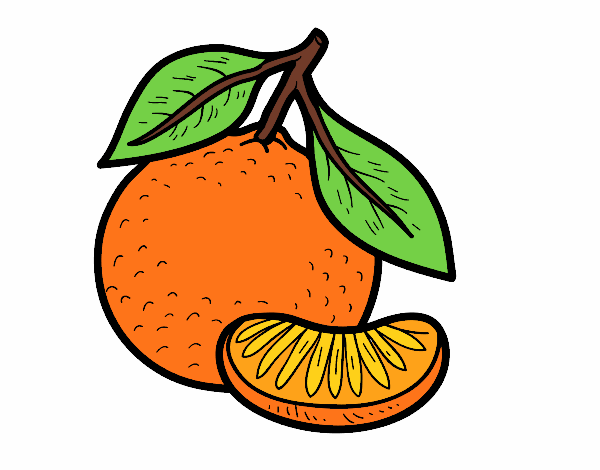 Dibujo Una mandarina pintado por mendz