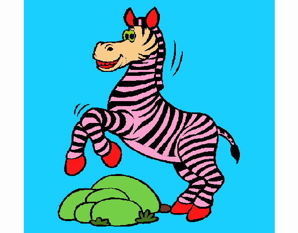 zebra presumida