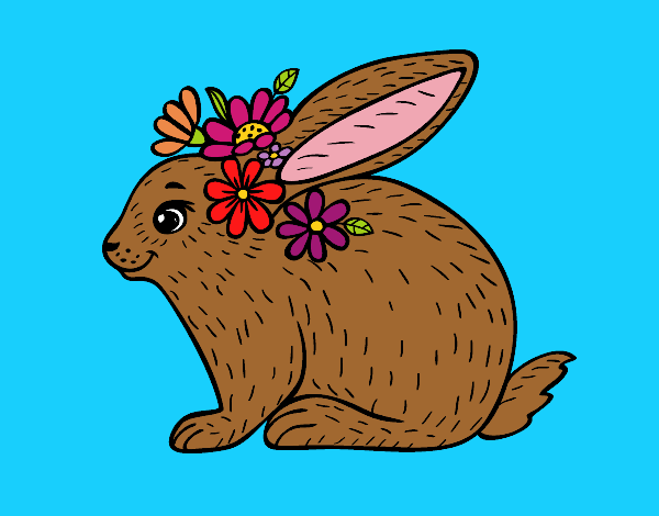 Conejo primaveral