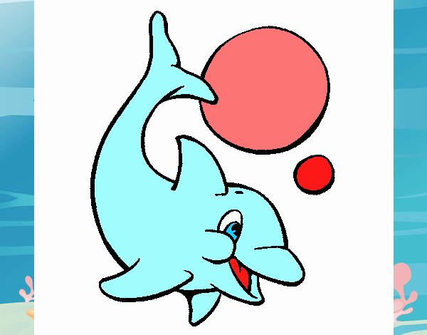 delfin jugando con dos pelotas
