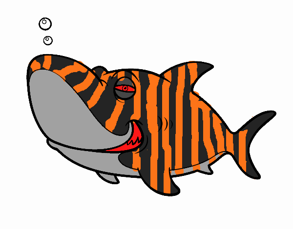 Tiburón tigre