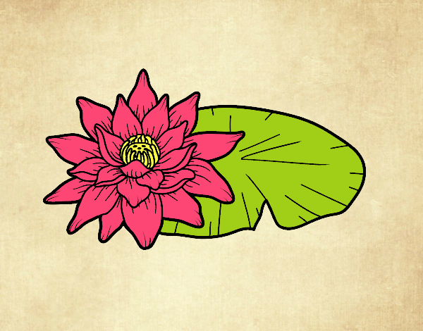 Dibujo Una flor de loto pintado por sahian2007