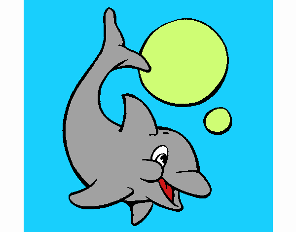 Delfín jugando con una pelota 1