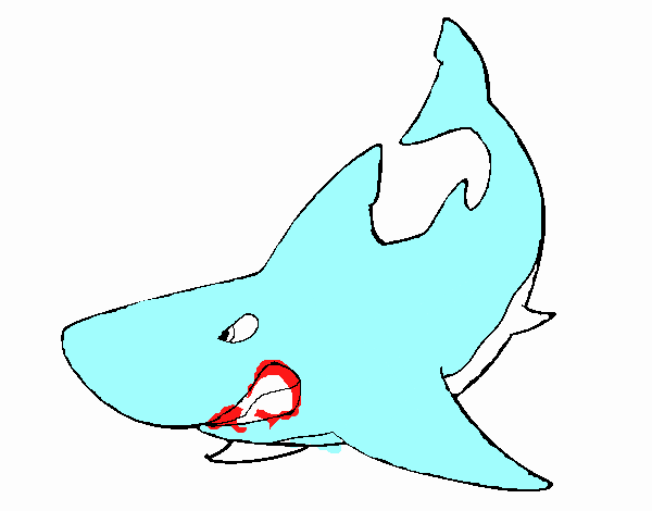Tiburón enfadado