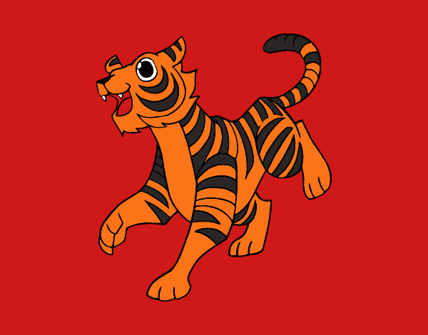 tigre de vengala rojo