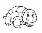 Dibujos de Tortugas mas visitados para Colorear - Dibujos.net