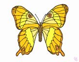 Dibujo Mariposa 7a pintado por EESganer