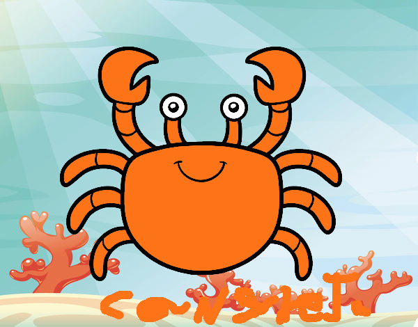 Un cangrejo de mar