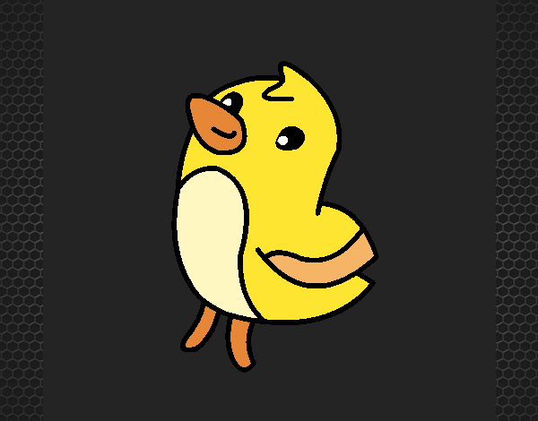 el pollito amarillito