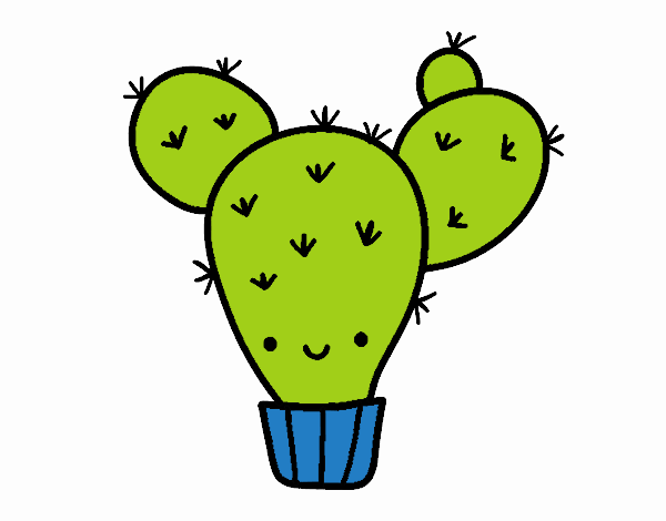 cactus kawai