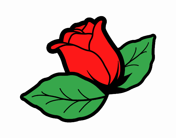 La rosa roja