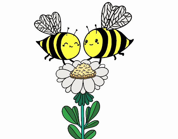 parejita de abejas QwQ