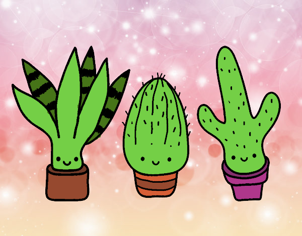 cactus bonitos me devolvieron mis ganas de vivir
