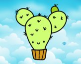 Cactus nopal