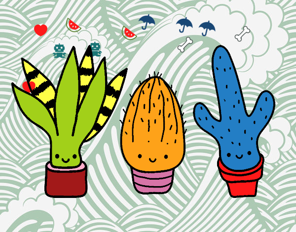 Cactus de Laura V. Moreno S