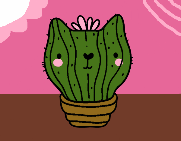 gatito cactus