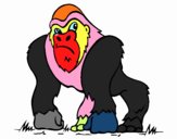 Gorila 1