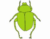 Escarabajo 1