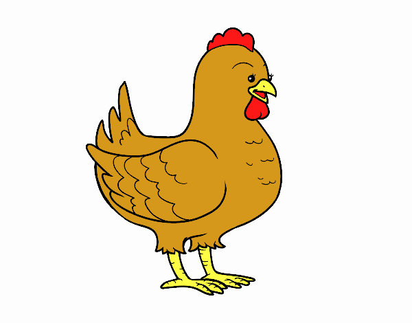 catarina a galinha