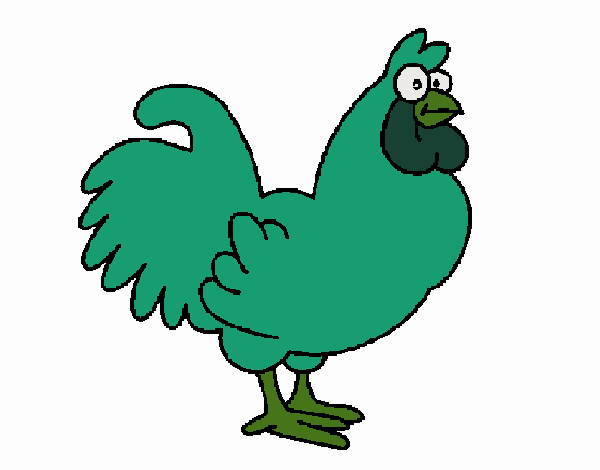 Gallo verde