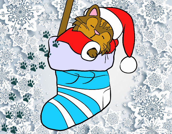 gatito tierno en una bota de navida