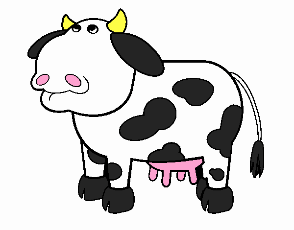 Vaca Valentina