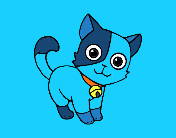 Un gatito azul nwn