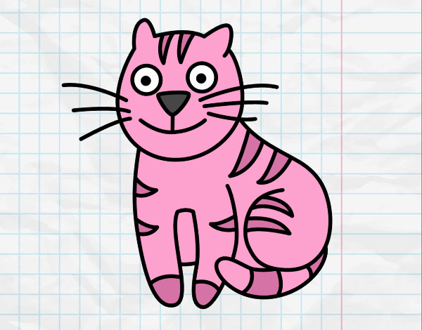 Un gato rosa
