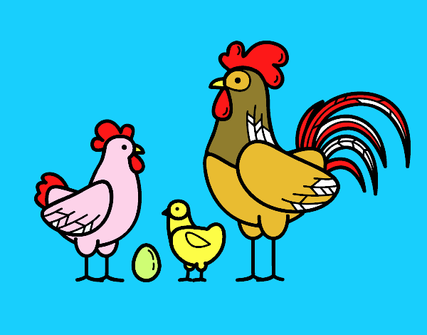 las gallinas y el gallo con pollito