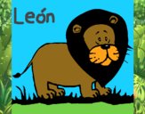 León melenudo