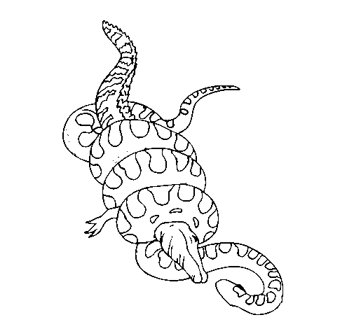 Dibujo de Anaconda y caimán para Colorear