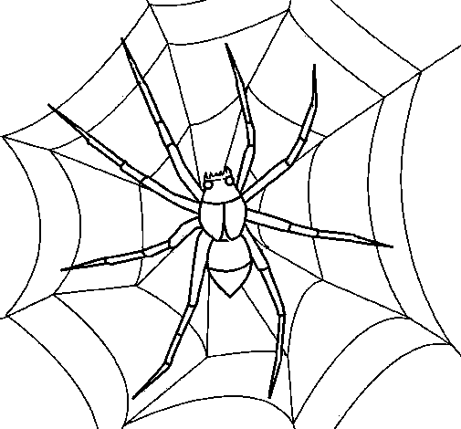 Dibujo de Araña para Colorear
