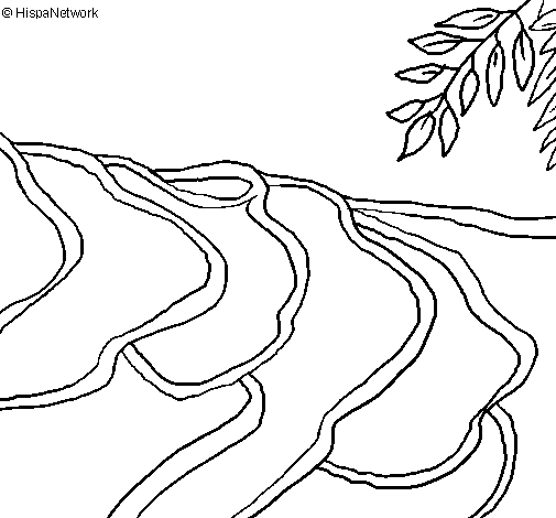 Dibujo de Campos de arroz para Colorear