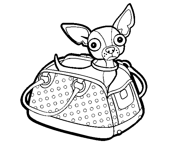 Dibujo de Chihuahua de viaje para Colorear