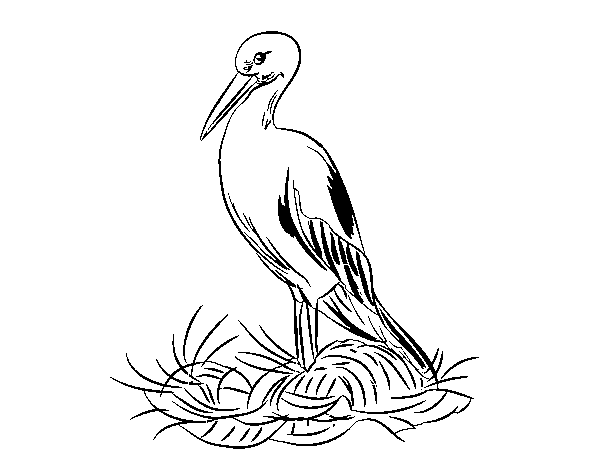 Dibujo de Cigueña y el nido para Colorear