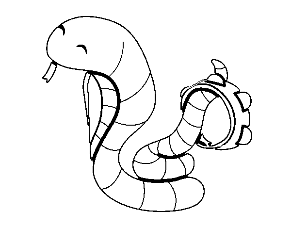 Dibujo de Cobra con pandereta para Colorear
