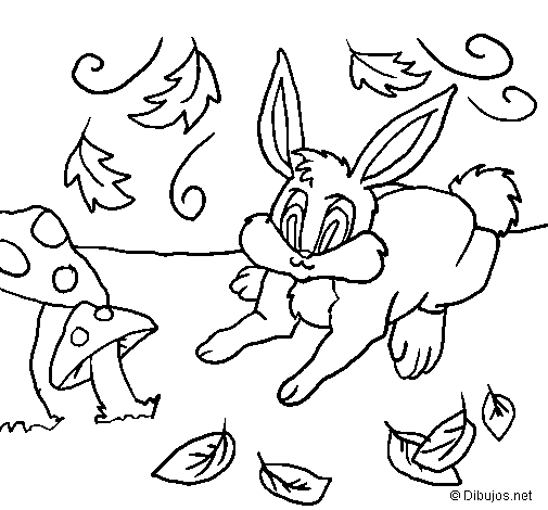 Dibujo de Conejo 3 para Colorear