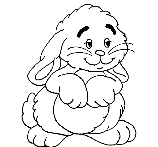 Dibujo de Conejo mimoso para Colorear