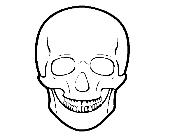 Dibujo de Cráneo humano para Colorear