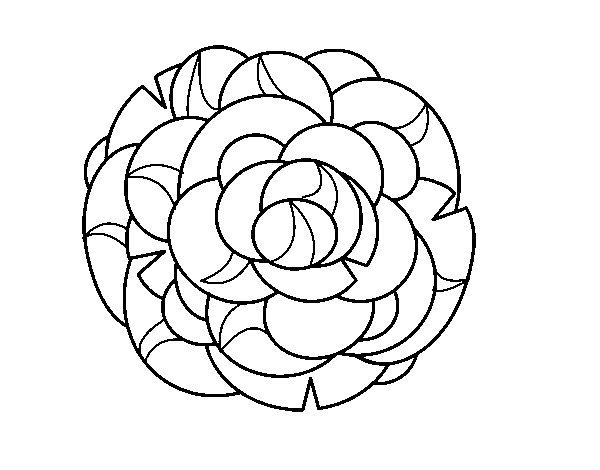 Dibujo de Crisantemo para Colorear