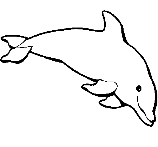 Dibujo de Delfín contento para Colorear - Dibujos.net