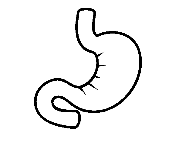 Dibujo de Estómago para Colorear
