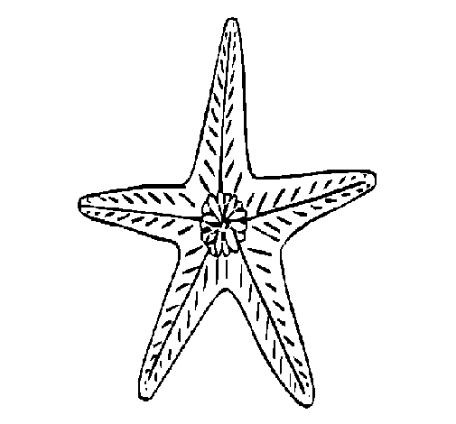 Dibujo de Estrella de mar para Colorear